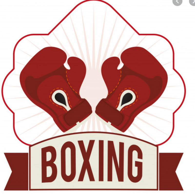 Arizona Street League Boxing and MMA