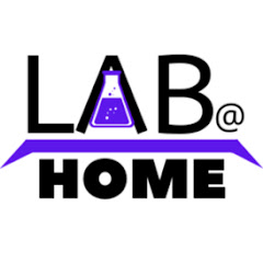 LAB at HOME net worth