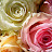 @adambraunstein3283 Avatar