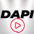 qM0UTuHnjtg-channel-avatar-DAPI Producciones