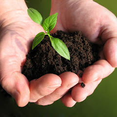 Thumbnail of related channel