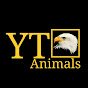 YT Animals logo
