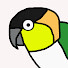 tlLB0nthsOQ-channel-avatar-Momo the Caique