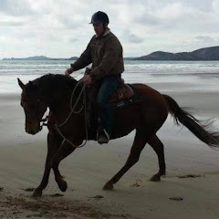 Steve Young Horsemanship net worth