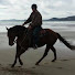 VY0xak4qvws-channel-avatar-Steve Young Horsemanship