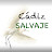 Cádiz Salvaje