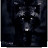 @black_wolf1664 Avatar