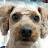 @user-bm2tc9cs4l
