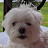 @TamerZiady's avatar