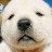 @user-jv6yq7rm4x