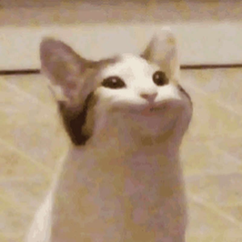 sooup