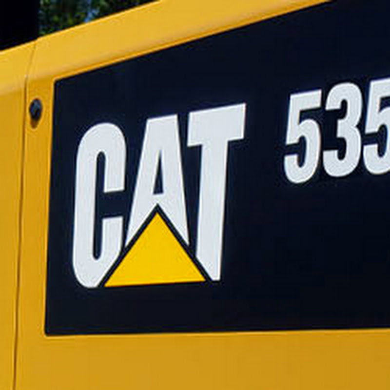 Cat Forestry