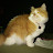 @khaledsalah7338