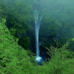 集中音楽アイコン画像