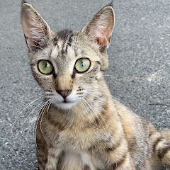 わからせ男アイコン画像