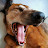 @cathortnagl1906's avatar
