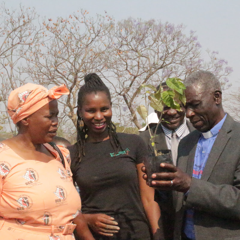 Environmental Buddies Zimbabwe
