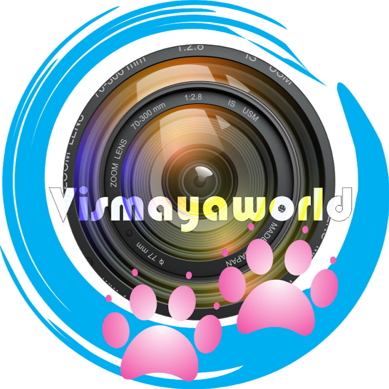 Vismayaworld