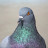 @busan_bookman