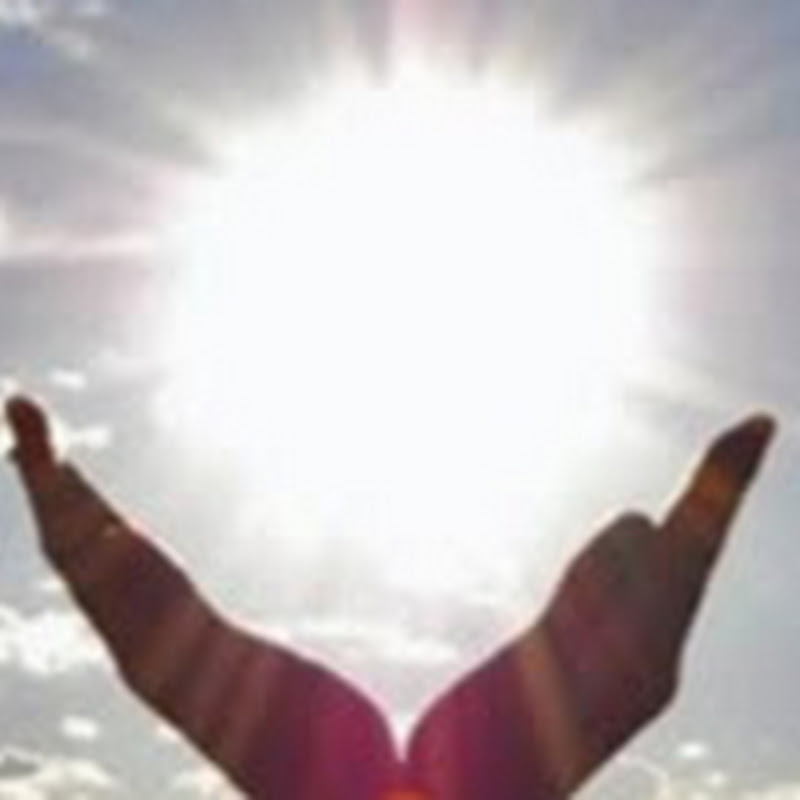 Evolutionary Energy Arts icon