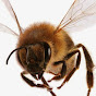 News of Beekeeping Technology logo