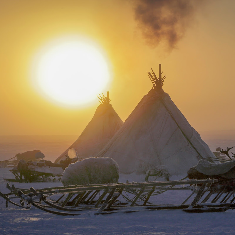 Nomad Architecture Logo