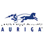 Auriga Corporate logo