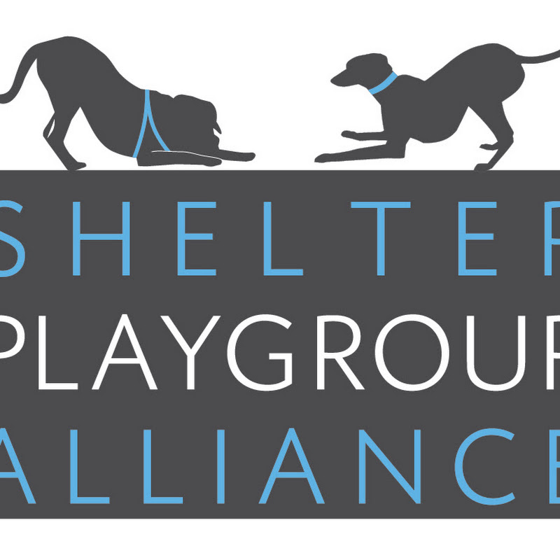 Shelter Playgroup Alliance