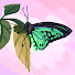 vQQGzPf0r4Q-channel-avatar-Alo W (Moths)
