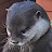 @johnfreeman5956's avatar