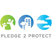 Pledge 2 Protect
