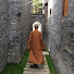 44OIpOd3PGU-channel-avatar-釋妙光Miao Guang
