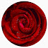 GpwwBAGahNM-channel-avatar-BTS 7G
