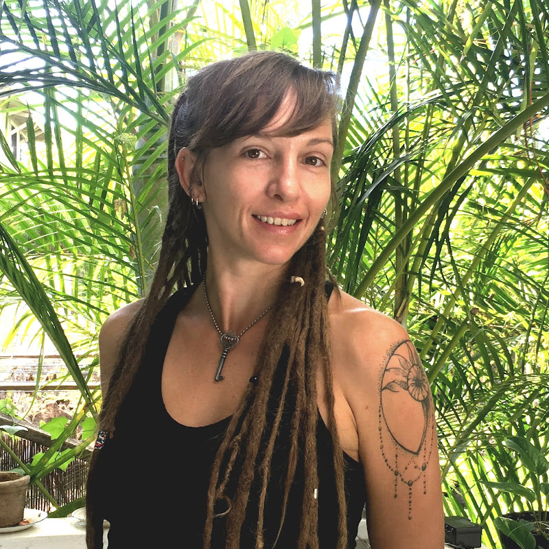 Caleigh Bird Art icon