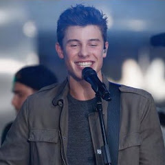 Shawnmendes Imagination