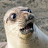 @user-hu6uq9lt4l