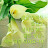 @user-ps9qo1uv3g
