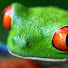 1BAWU0jMt8o-channel-avatar-FrostyFrog