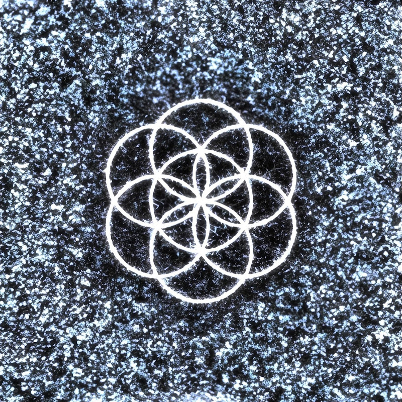 Jaka Metelko icon