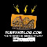 zdmTqQnVaPY-channel-avatar-Funfairblog