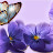 @atypicallavender77's avatar