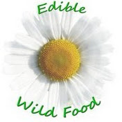 EdibleWildFood.com