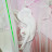 @흰둥이-w9u