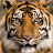 @user-dw1cw4ex2f