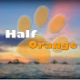 Half Orange Travel Vlog logo