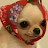 @Amy-gn6zw