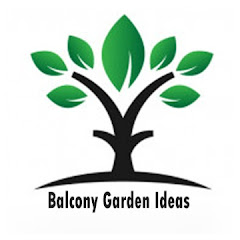 Balcony Garden Ideas Avatar