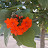 @karenjdavis8 Avatar