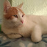P9ygiM_0PWM-channel-avatar-Taekan