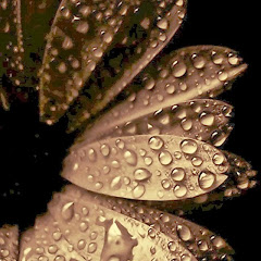 Thumbnail of related channel